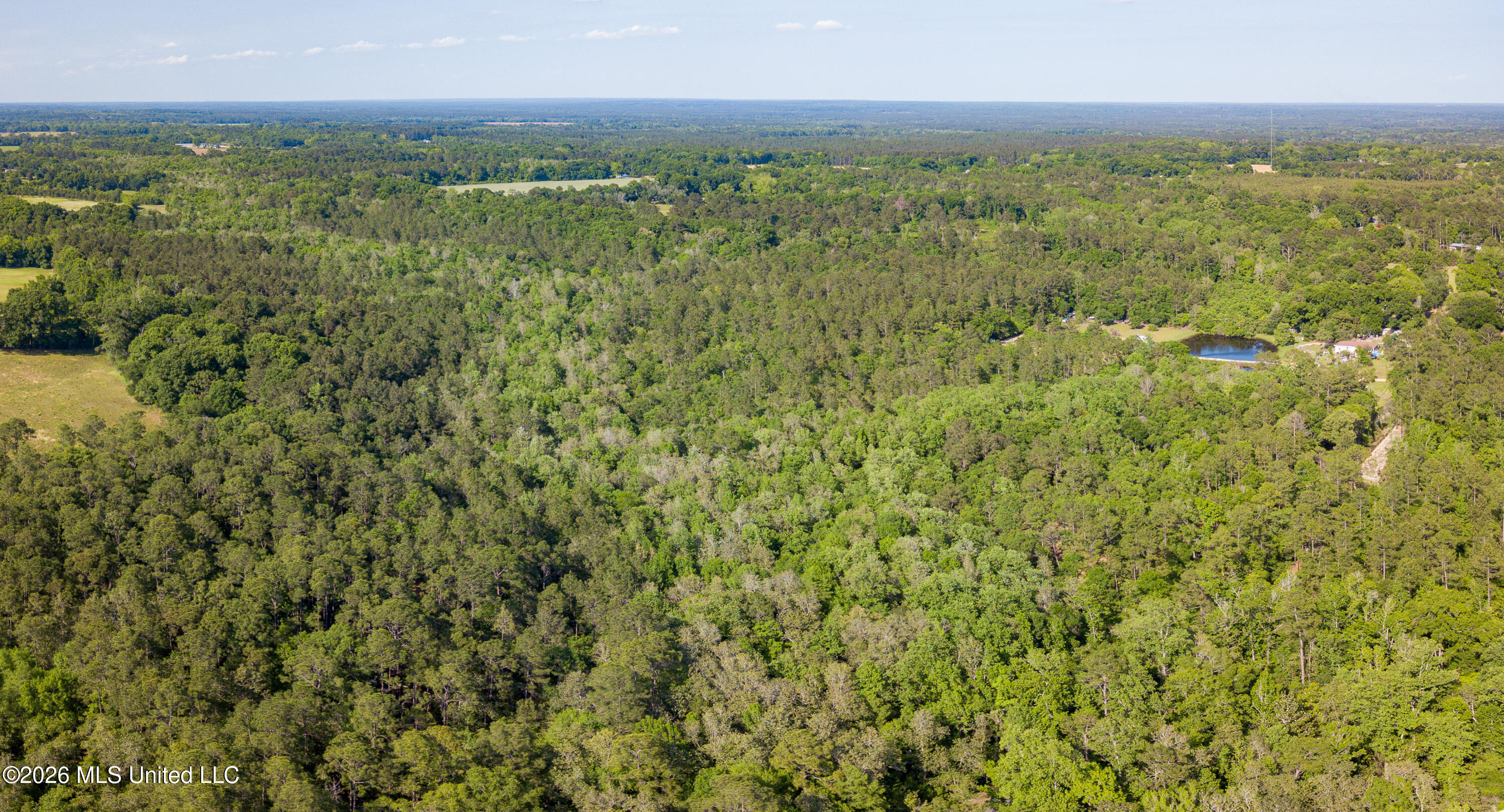 74-ac Cowart Road Lucedale, MS 39452 - Photo 10 of 37 DJI_0023-Pano