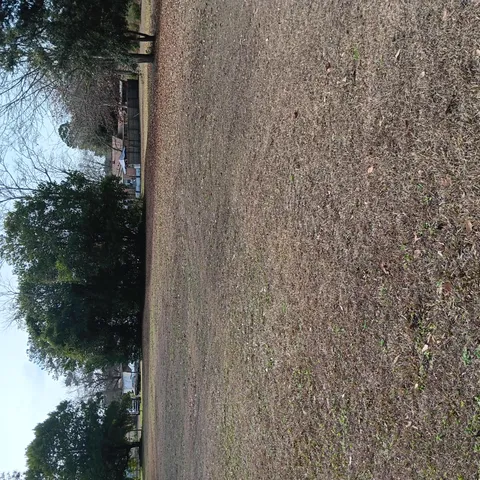 $199,000 | 110 Turkey Heights Street, St. Matthews, SC 29135