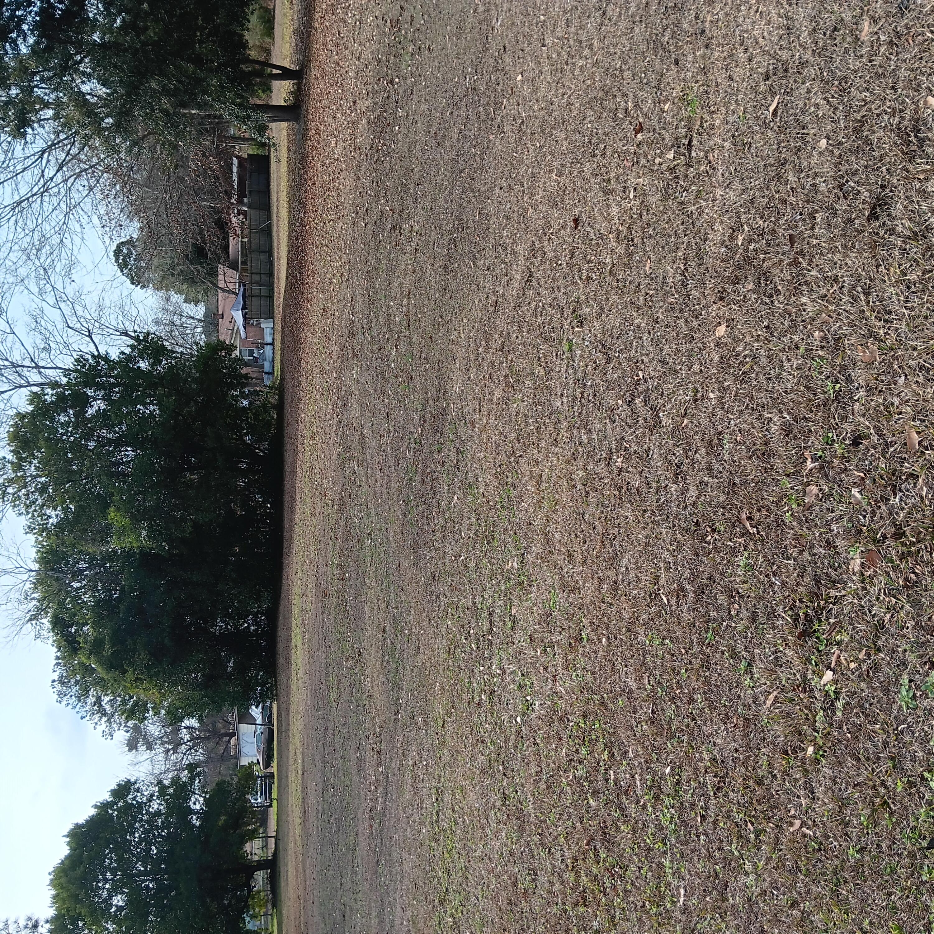 110 Turkey Heights Street St. Matthews, SC 29135 - Photo 10 of 10 RearYard