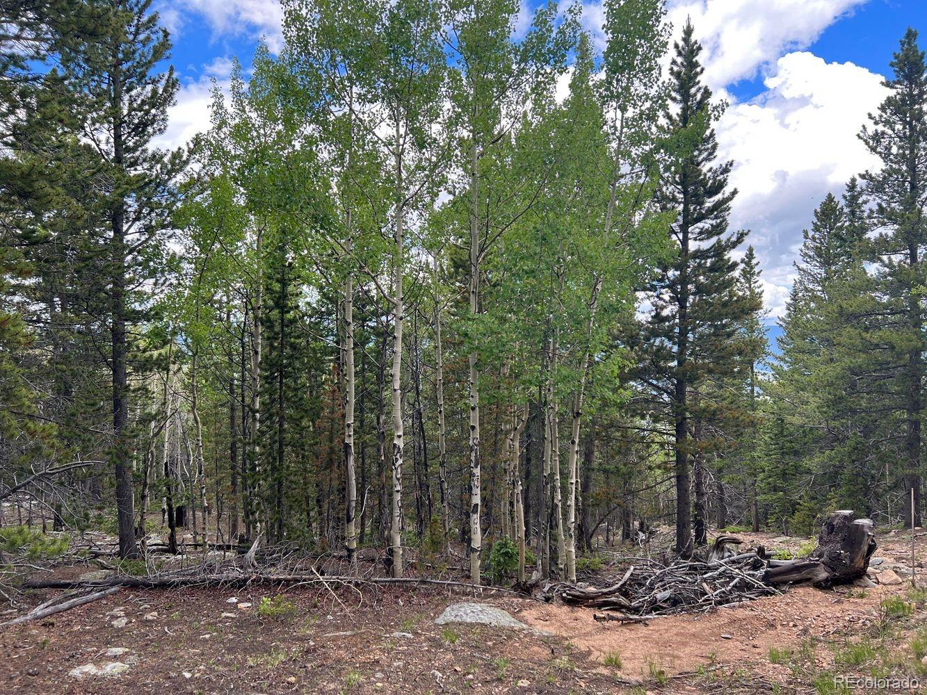 0 Hidden Wilderness Road Evergreen, CO 80439 - Photo 24 of 29