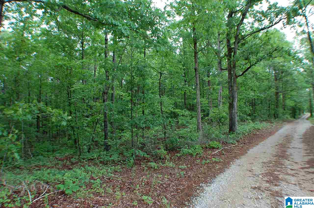 950 County Road 478, Unit 1 Clanton, AL 35046 - Photo 20 of 31