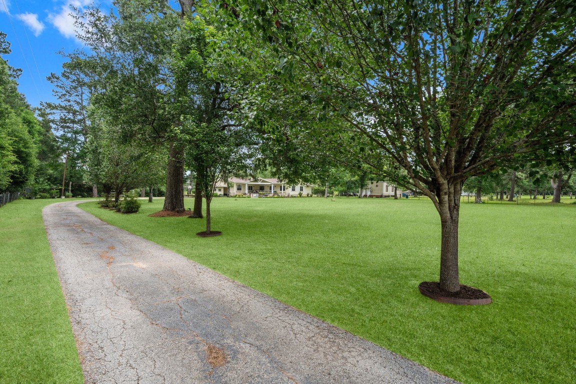 2400 Bowler Road Magnolia, TX 77355 - Photo 6 of 48 a view of a park with large trees