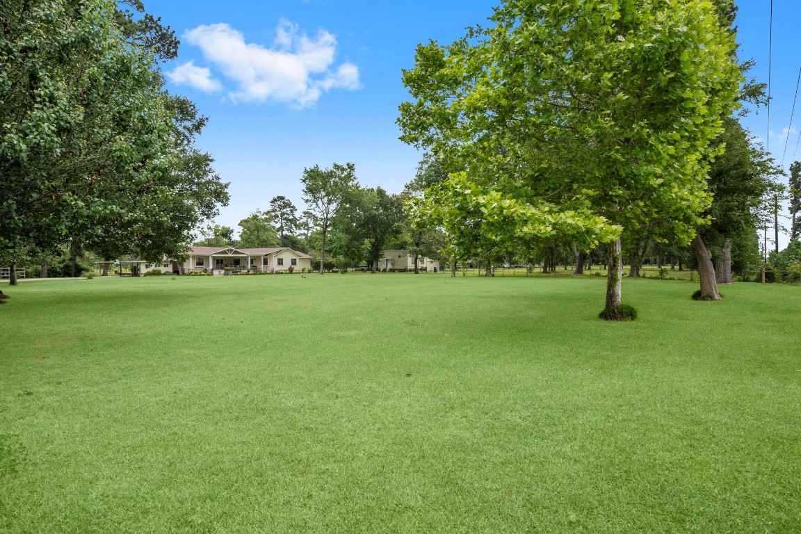 2400 Bowler Road Magnolia, TX 77355 - Photo 7 of 48 a view of a trees in a park