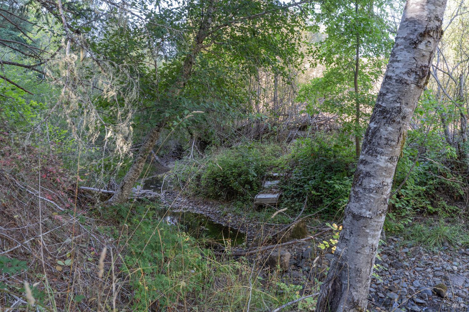 4070 Williams Ranch Road Willits, CA 95490 - Photo 41 of 53