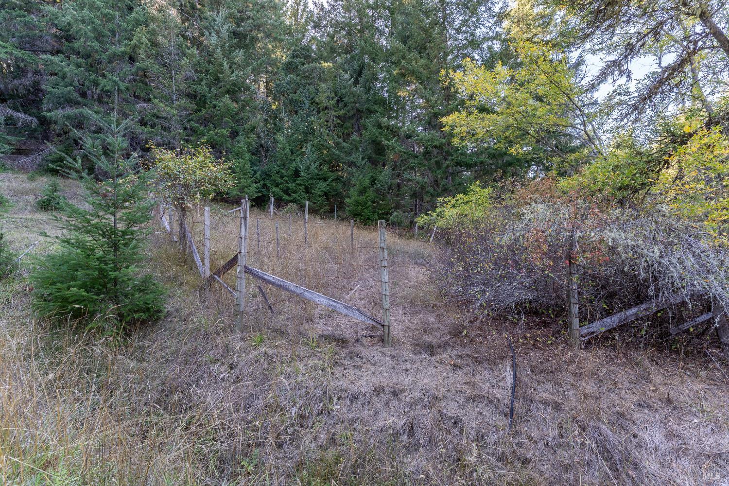 4070 Williams Ranch Road Willits, CA 95490 - Photo 42 of 53