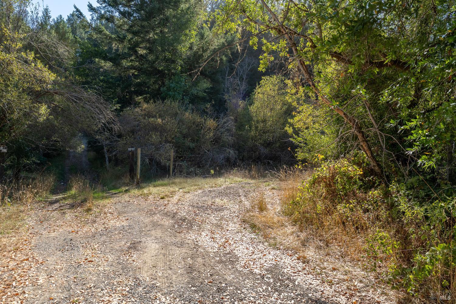 4070 Williams Ranch Road Willits, CA 95490 - Photo 43 of 53