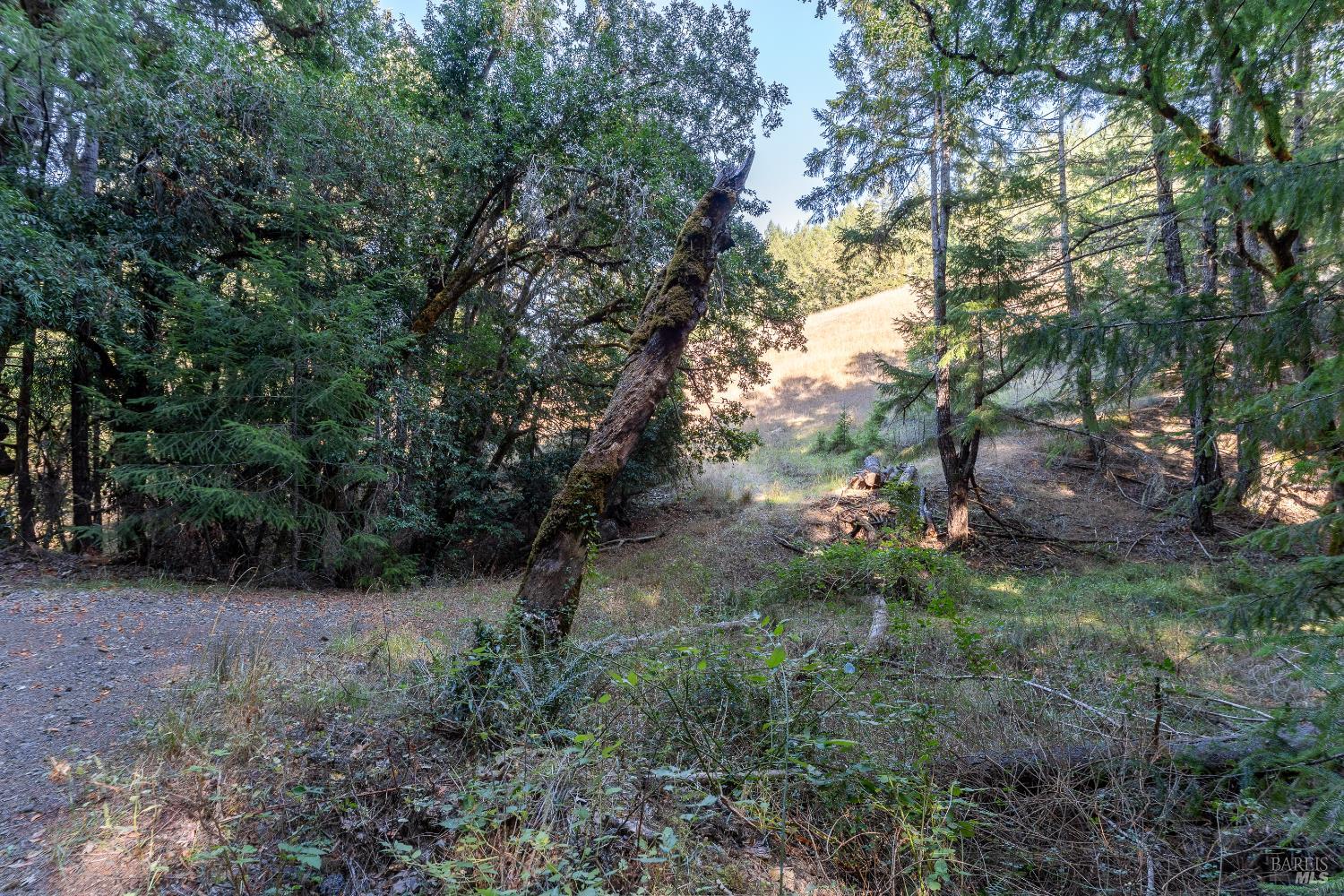 4070 Williams Ranch Road Willits, CA 95490 - Photo 45 of 53