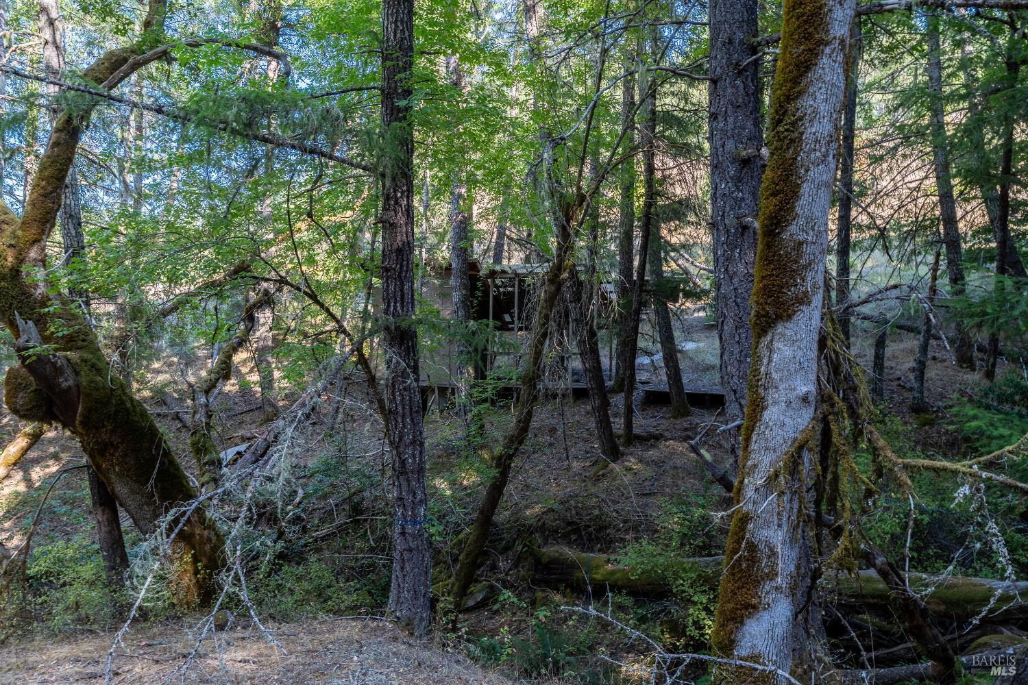 4070 Williams Ranch Road Willits, CA 95490 - Photo 47 of 53