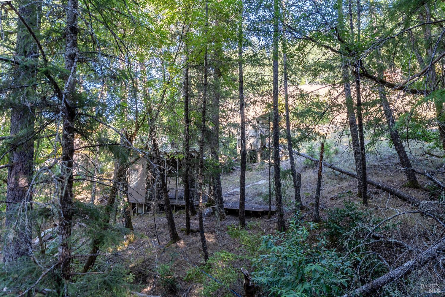 4070 Williams Ranch Road Willits, CA 95490 - Photo 48 of 53