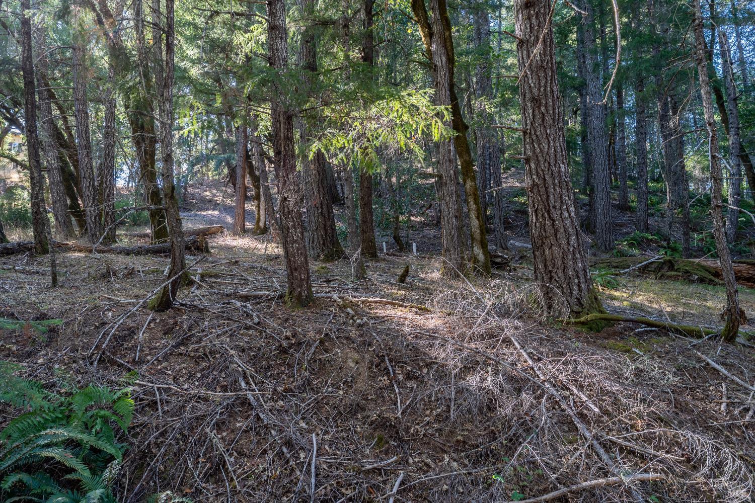 4070 Williams Ranch Road Willits, CA 95490 - Photo 49 of 53