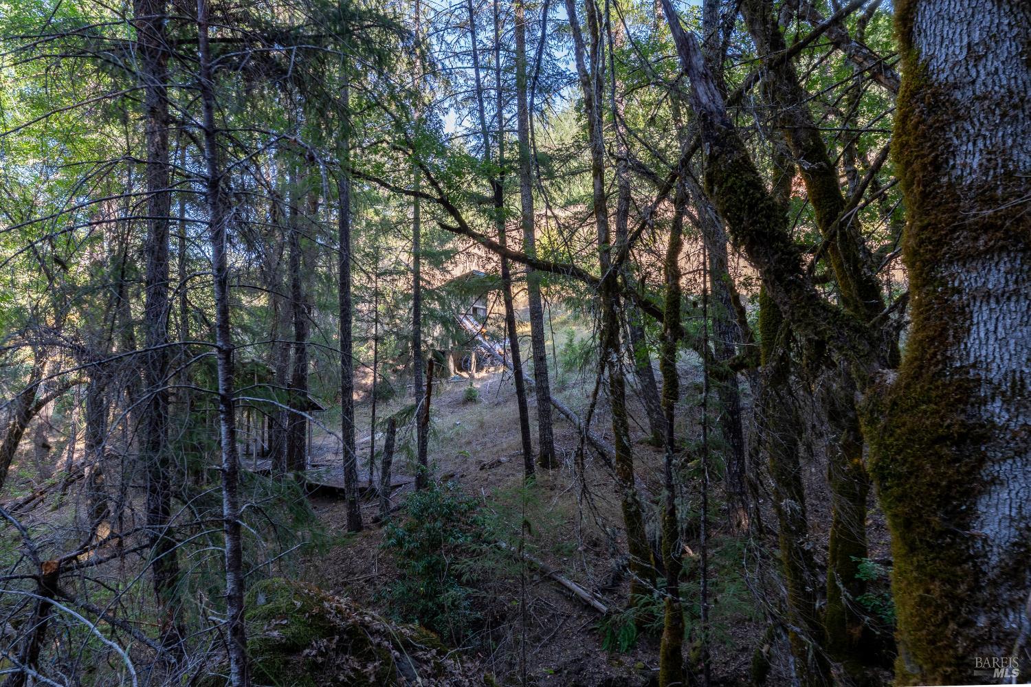 4070 Williams Ranch Road Willits, CA 95490 - Photo 50 of 53