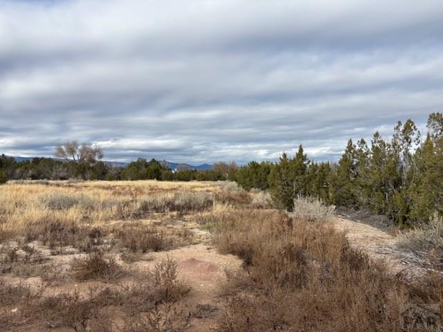 490 A Street Penrose, CO 81240 - Photo 42 of 46 a view of a lake with lots of trees