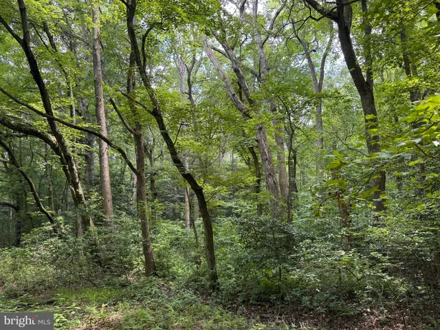 $139,900 | Trunk Line Road, Henderson, MD 21640