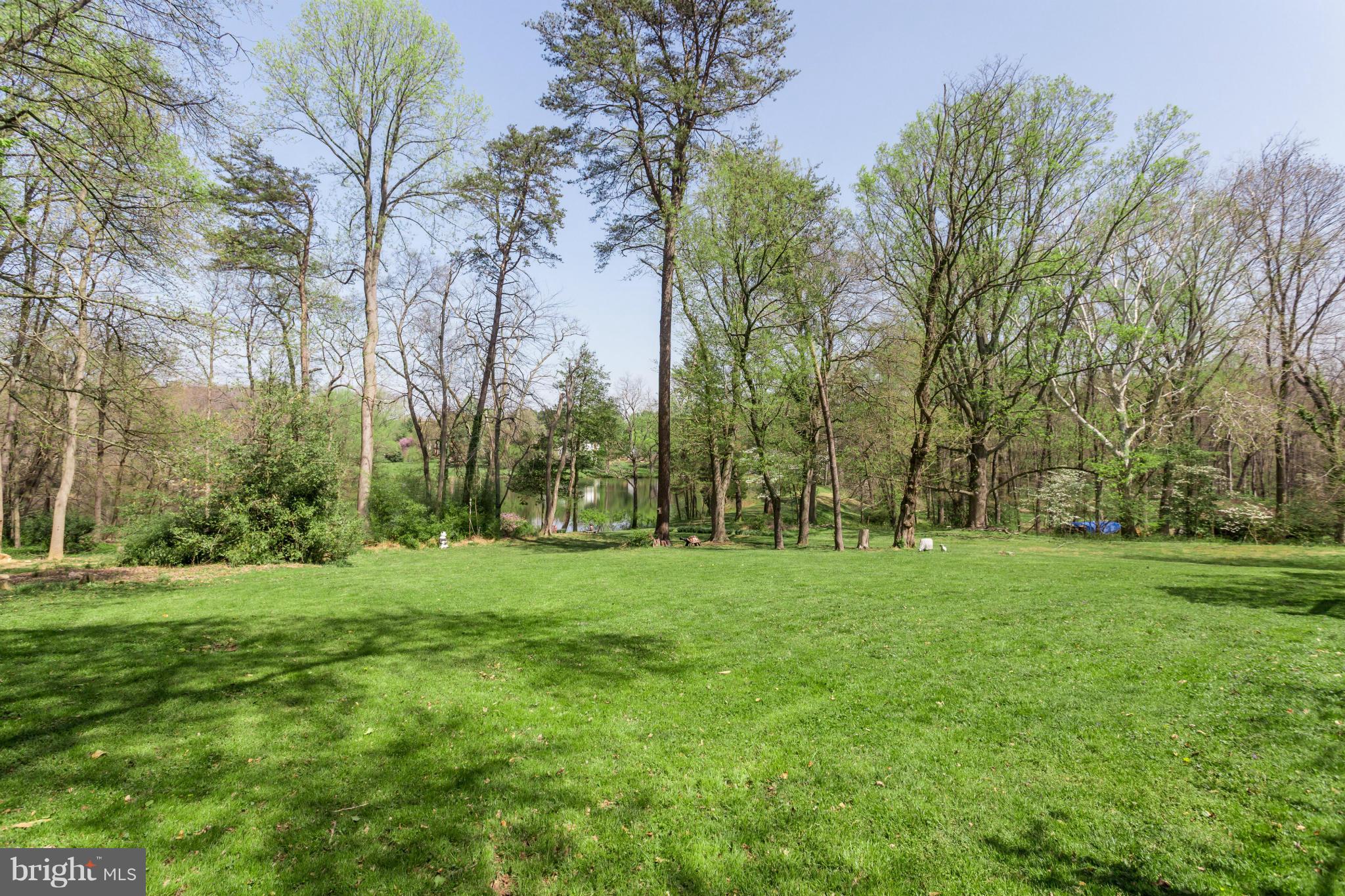 1780 Proffit Road Vienna, VA 22182 - Photo 2 of 21 a grassy field with trees