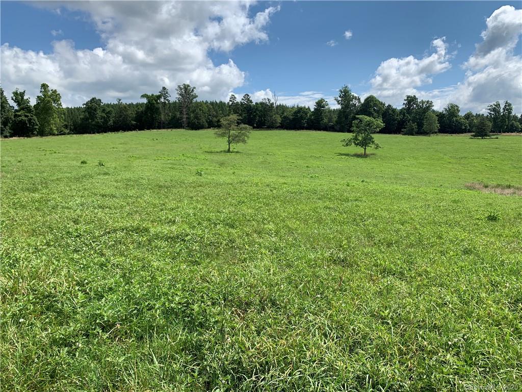 0 Cane Creek Road Rutherfordton, NC 28139 - Photo 18 of 31 Gallery Image 18