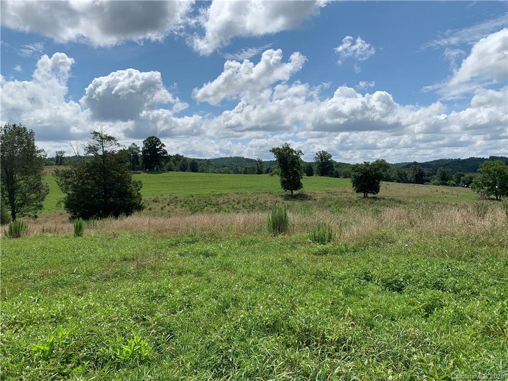 0 Cane Creek Road Rutherfordton, NC 28139 - Photo 19 of 31 Gallery Image 19
