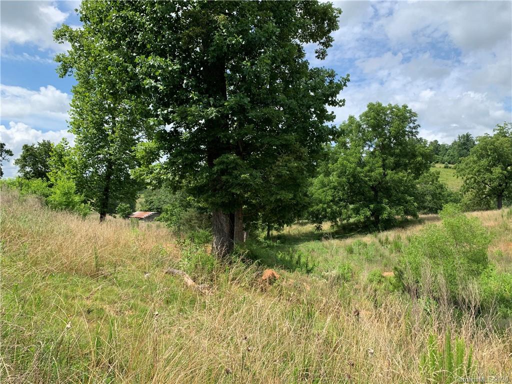 0 Cane Creek Road Rutherfordton, NC 28139 - Photo 23 of 31 Gallery Image 23