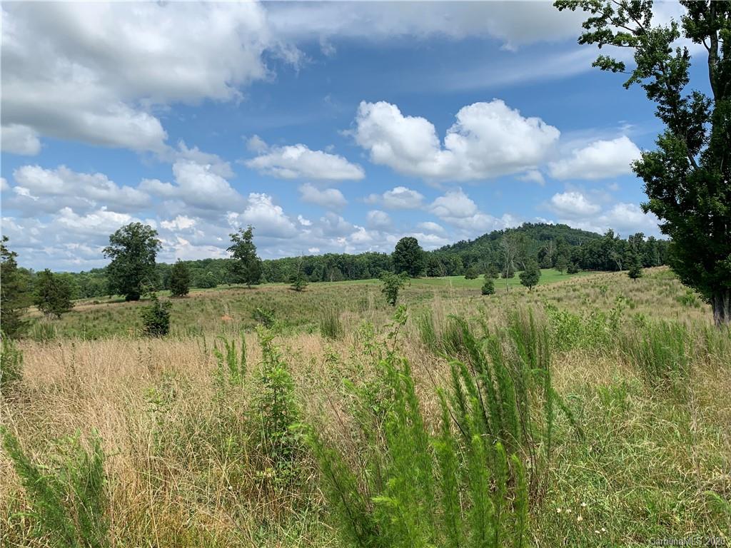 0 Cane Creek Road Rutherfordton, NC 28139 - Photo 28 of 31 Gallery Image 28