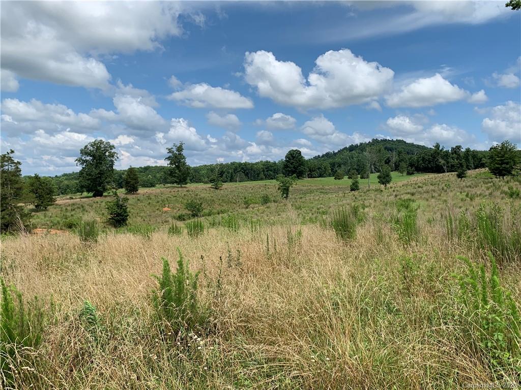 0 Cane Creek Road Rutherfordton, NC 28139 - Photo 29 of 31 Gallery Image 29