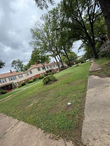 a view of a field with large trees