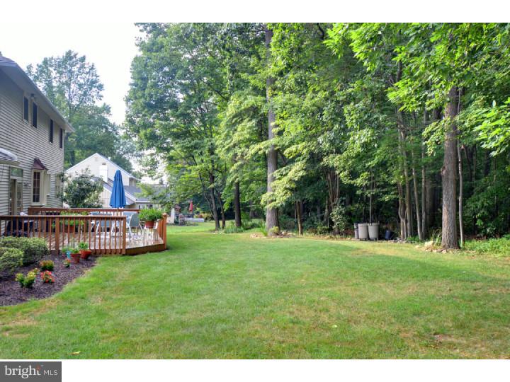 703 Broad View Road Exton, PA 19341 - Photo 20 of 23 Gallery Image 20