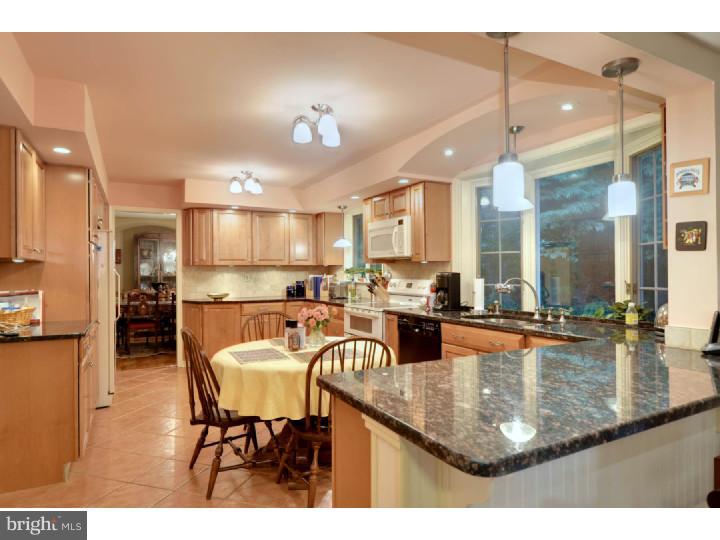 703 Broad View Road Exton, PA 19341 - Photo 3 of 23 Gallery Image 3