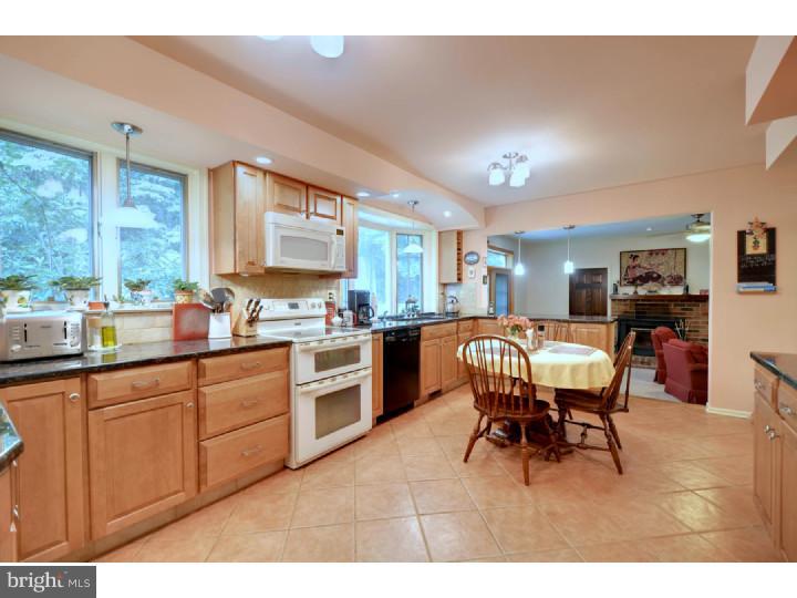 703 Broad View Road Exton, PA 19341 - Photo 4 of 23 Gallery Image 4