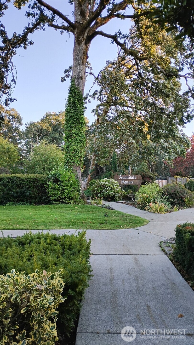 6502 Avondale Road Southwest Lakewood, WA 98499 - Photo 31 of 40 Gallery Image 31