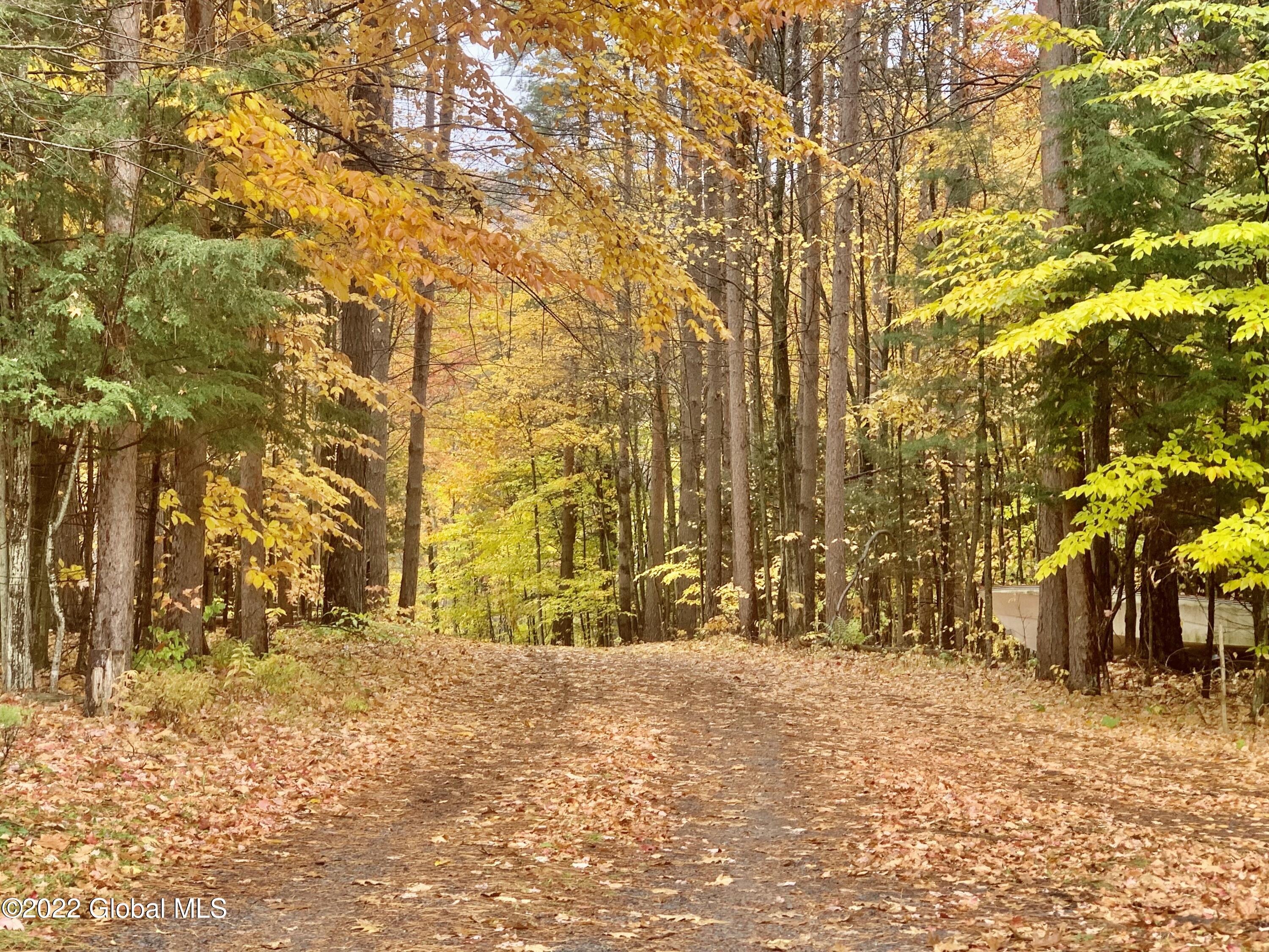 83 Mccullough Cross Road Medusa, NY 12120 - Photo 2 of 32 driveway