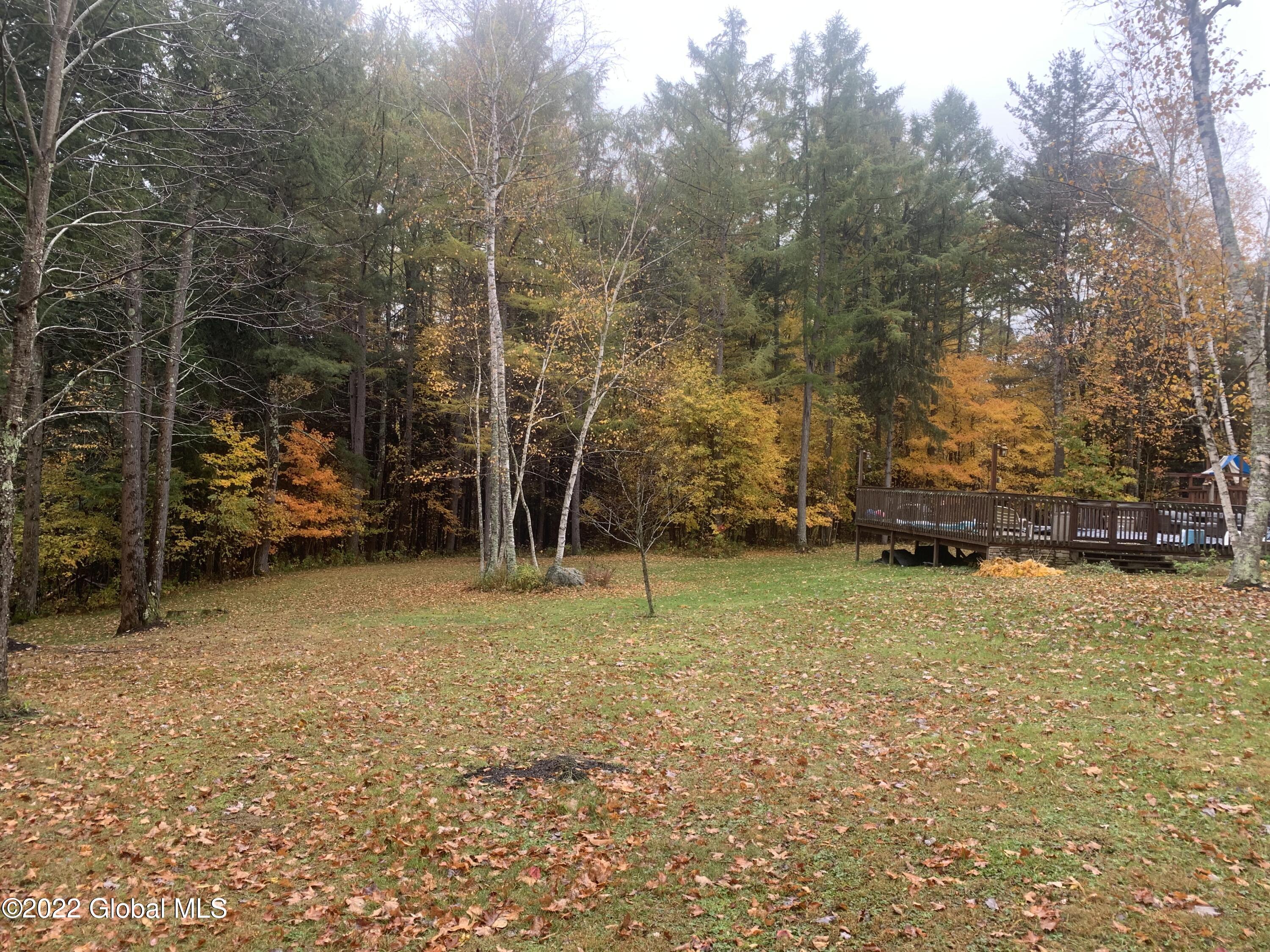 83 Mccullough Cross Road Medusa, NY 12120 - Photo 27 of 32 IMG_1416
