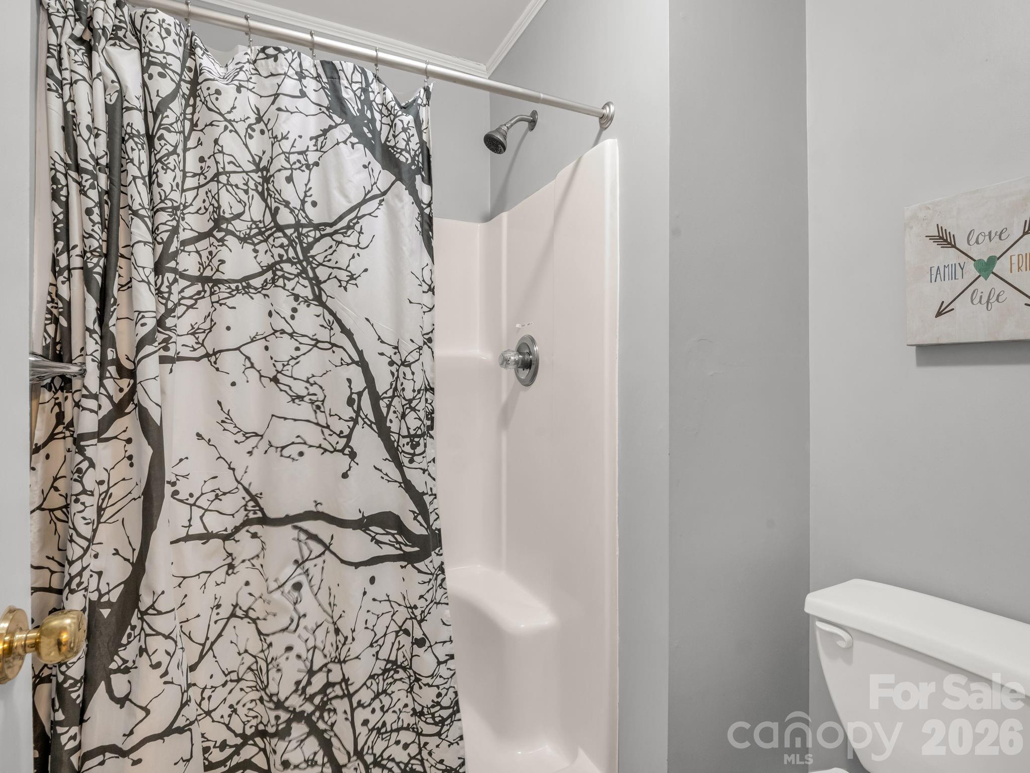 108 Nuthatch Trace Brevard, NC 28712 - Photo 32 of 46 a bathroom with a toilet and shower curtain