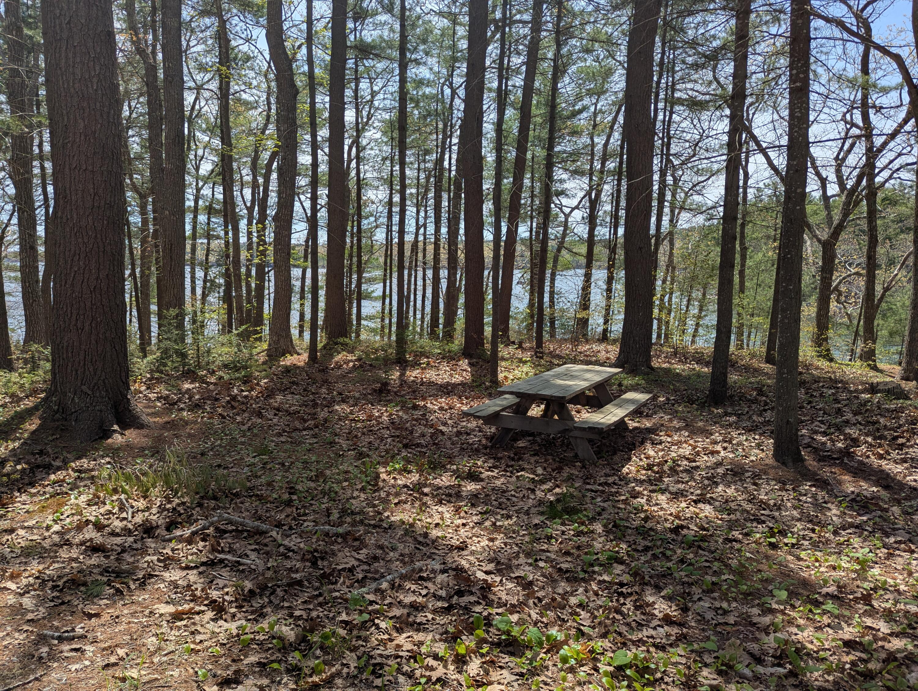 17 West View Road Damariscotta, ME 04543 - Photo 34 of 47 Picnic table by the shore