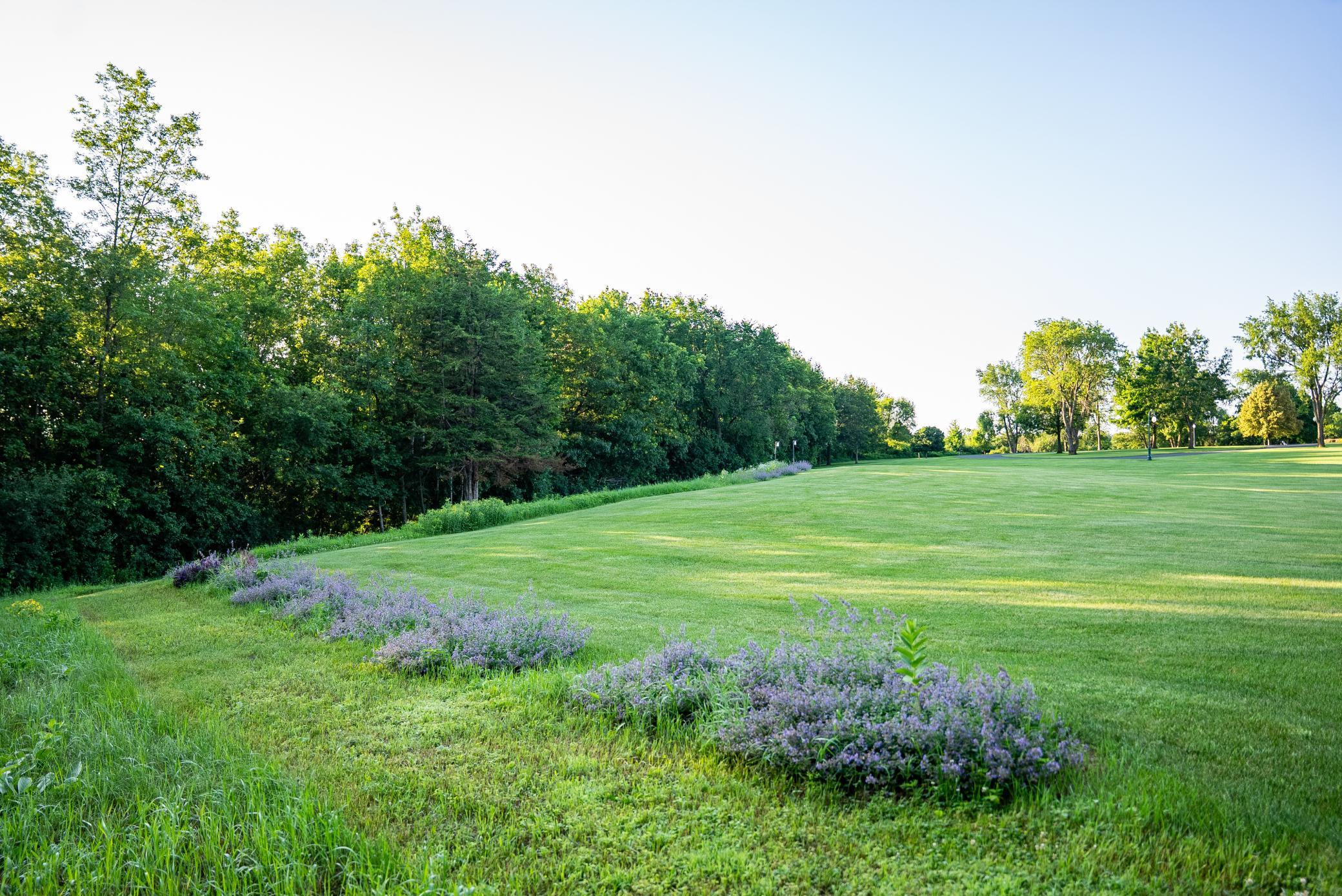 32592 Juniper Road Chatfield, MN 55923 - Photo 65 of 73
