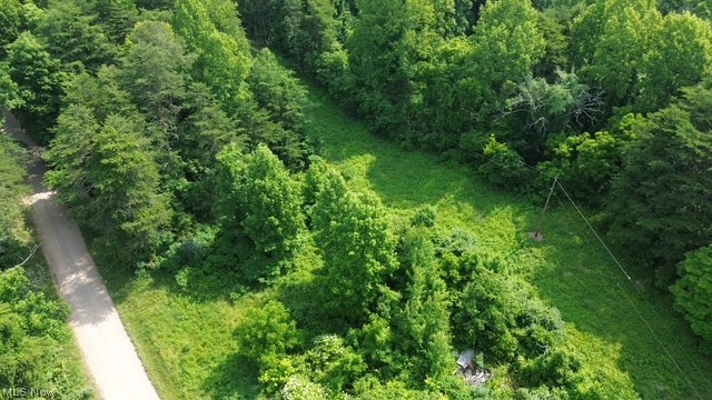0 East Side Hayman Road Long Bottom, OH 45743 - Photo 8 of 14