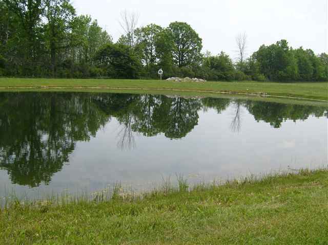 11627 Dunn Road Memphis, MI 48041 - Photo 3 of 21 31001455-2.JPG