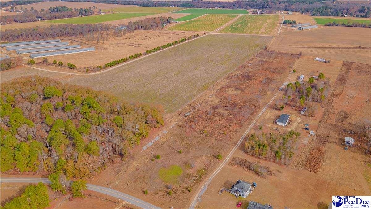 Tbd Mackton Road Lamar, SC 29069 - Photo 1 of 1 Gallery Image 1