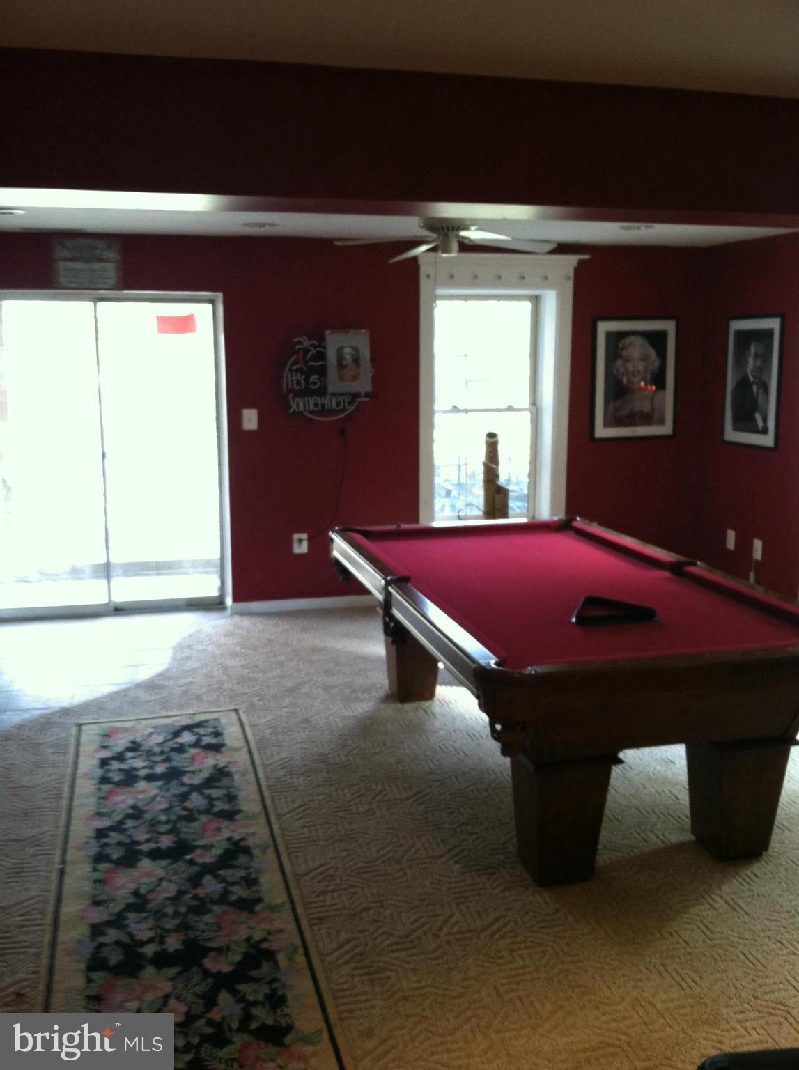 17233 General Custer Way Poolesville, MD 20837 - Photo 14 of 29 Basement