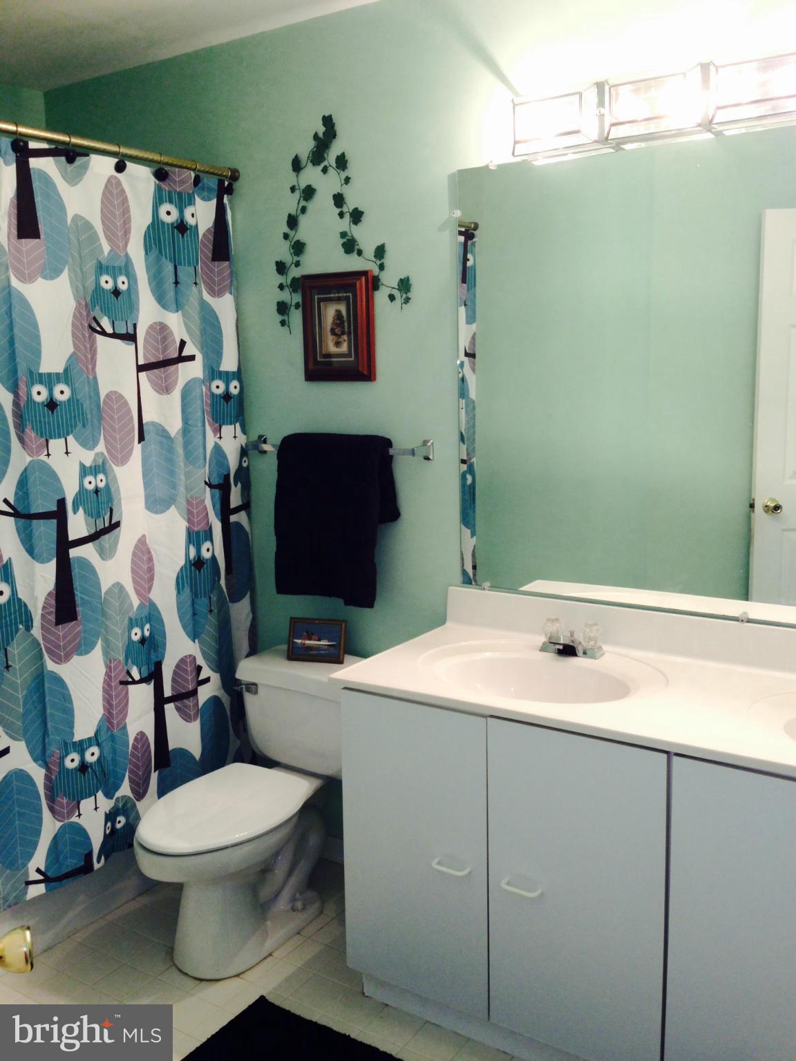 17233 General Custer Way Poolesville, MD 20837 - Photo 22 of 29 Bath