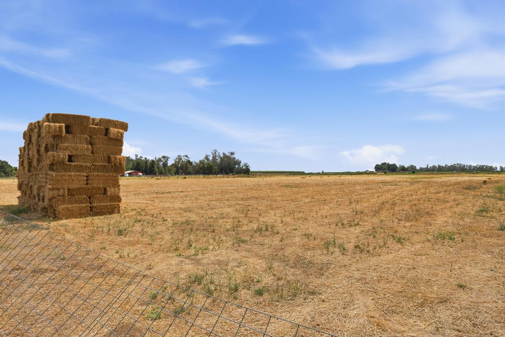 2375 Rio Oso Road Rio Oso, CA 95674 - Photo 72 of 79