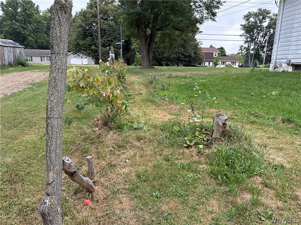 4116 State Rte 21 Cohocton, NY 14572 - Photo 4 of 14