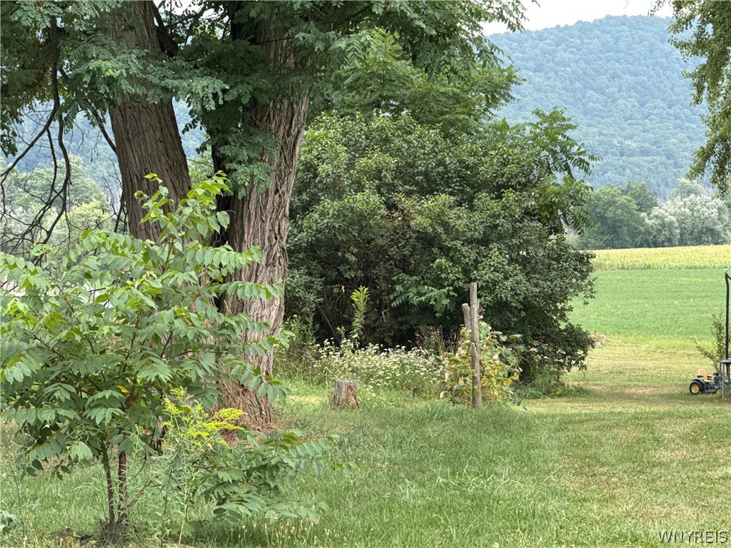 4116 State Rte 21 Cohocton, NY 14572 - Photo 7 of 14