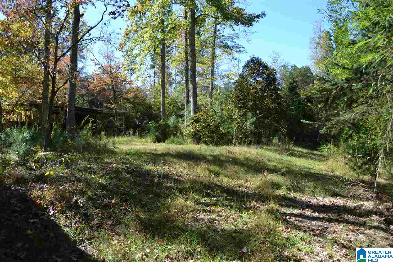 17871 Highway 75, Unit 5 7 ACRES Remlap, AL 35133 - Photo 19 of 23