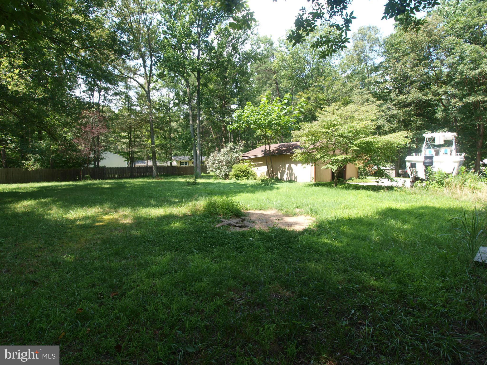 Large Back Yard