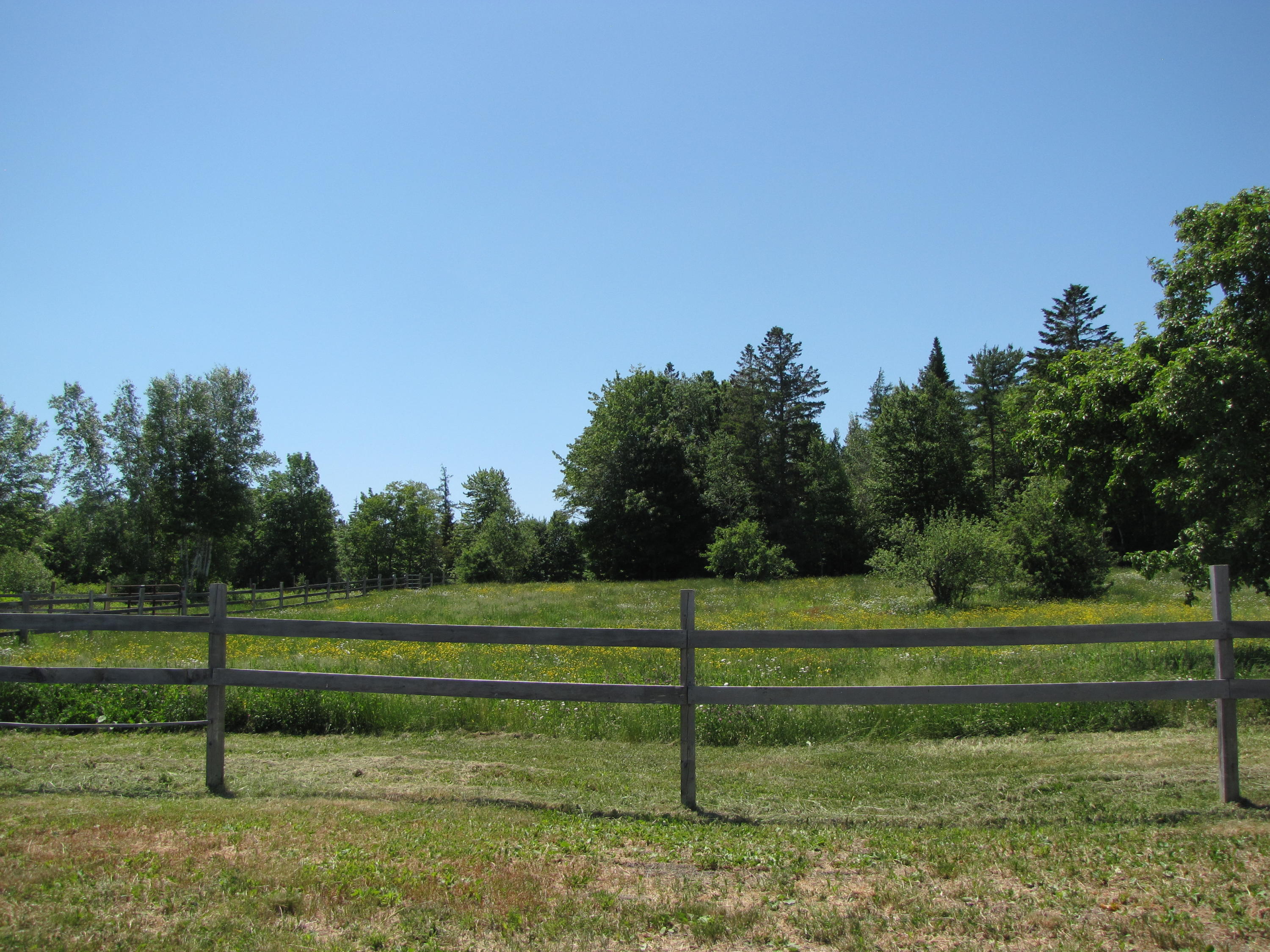 164 North Union Road Cooper, ME 04657 - Photo 15 of 33 IMG_0907