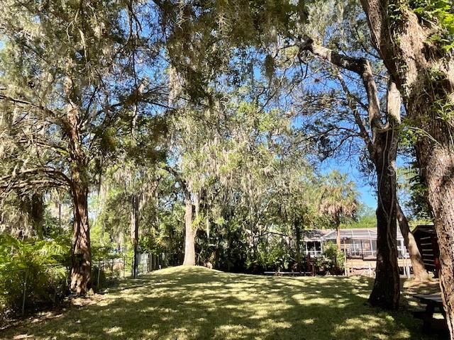 8157 Anchor Point Drive Weeki Wachee, FL 34607 - Photo 6 of 17 Gallery Image 6