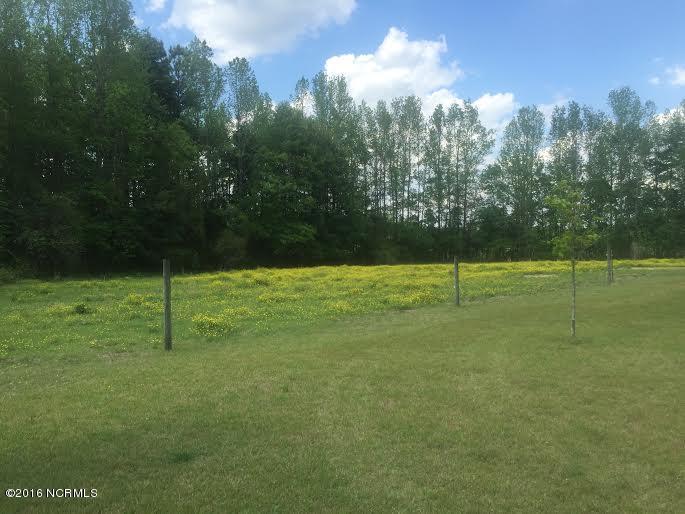 2231 Norris Road Garland, NC 28441 - Photo 3 of 17 pasture