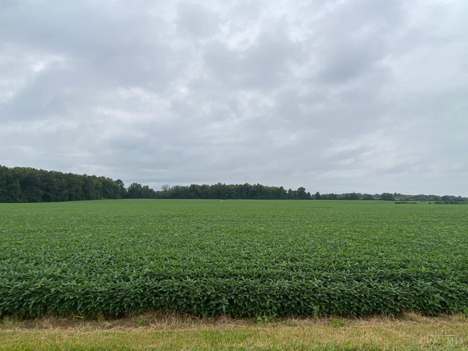 5-ac Jack Road, Unit LT D2 Lebanon, OH 45036 - Photo 1 of 5