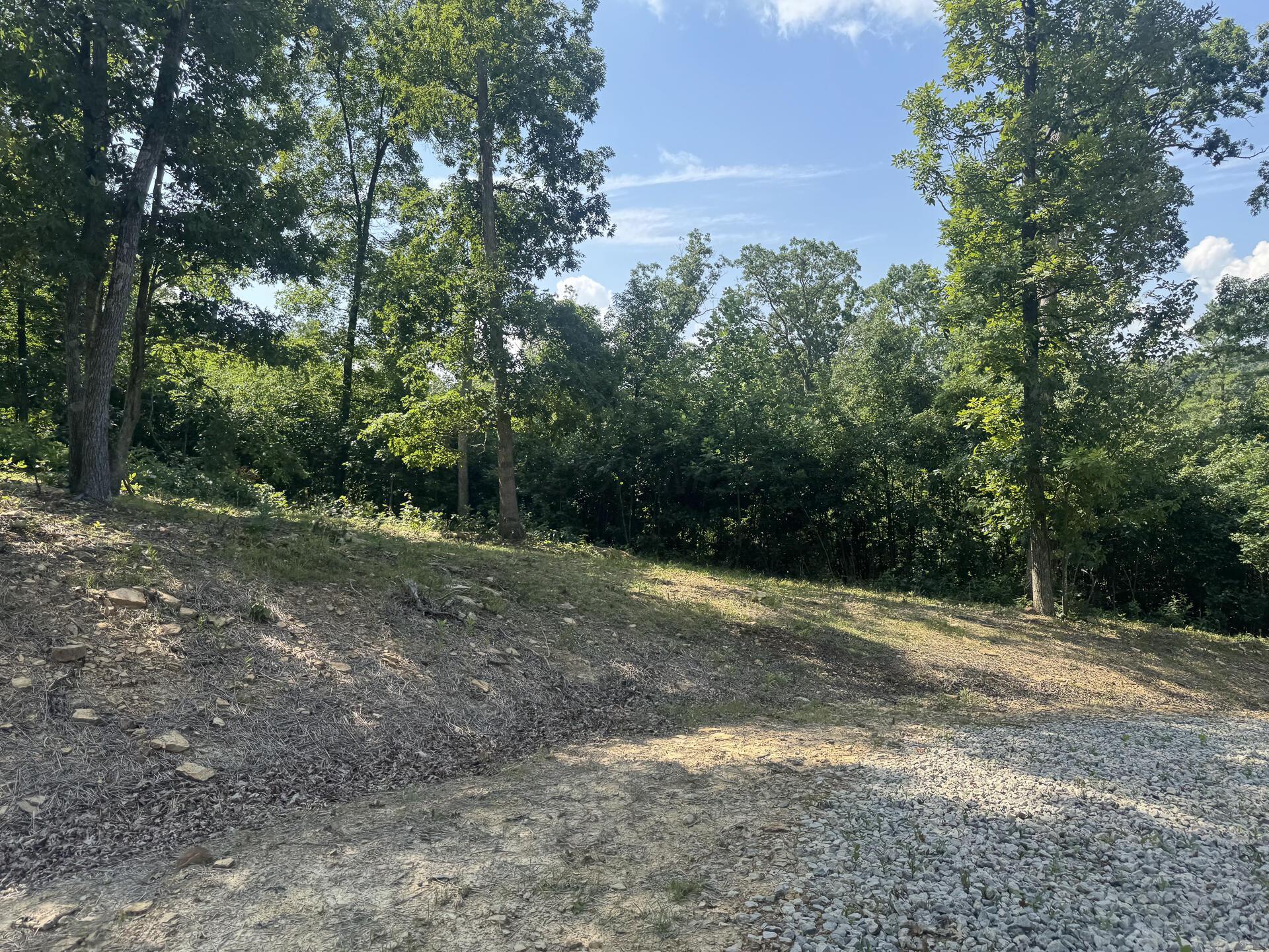 56 Golf Course Road, Unit TRACT 14 SKYLINEACRES) Waverly, OH 45690 - Photo 39 of 51 CT-39