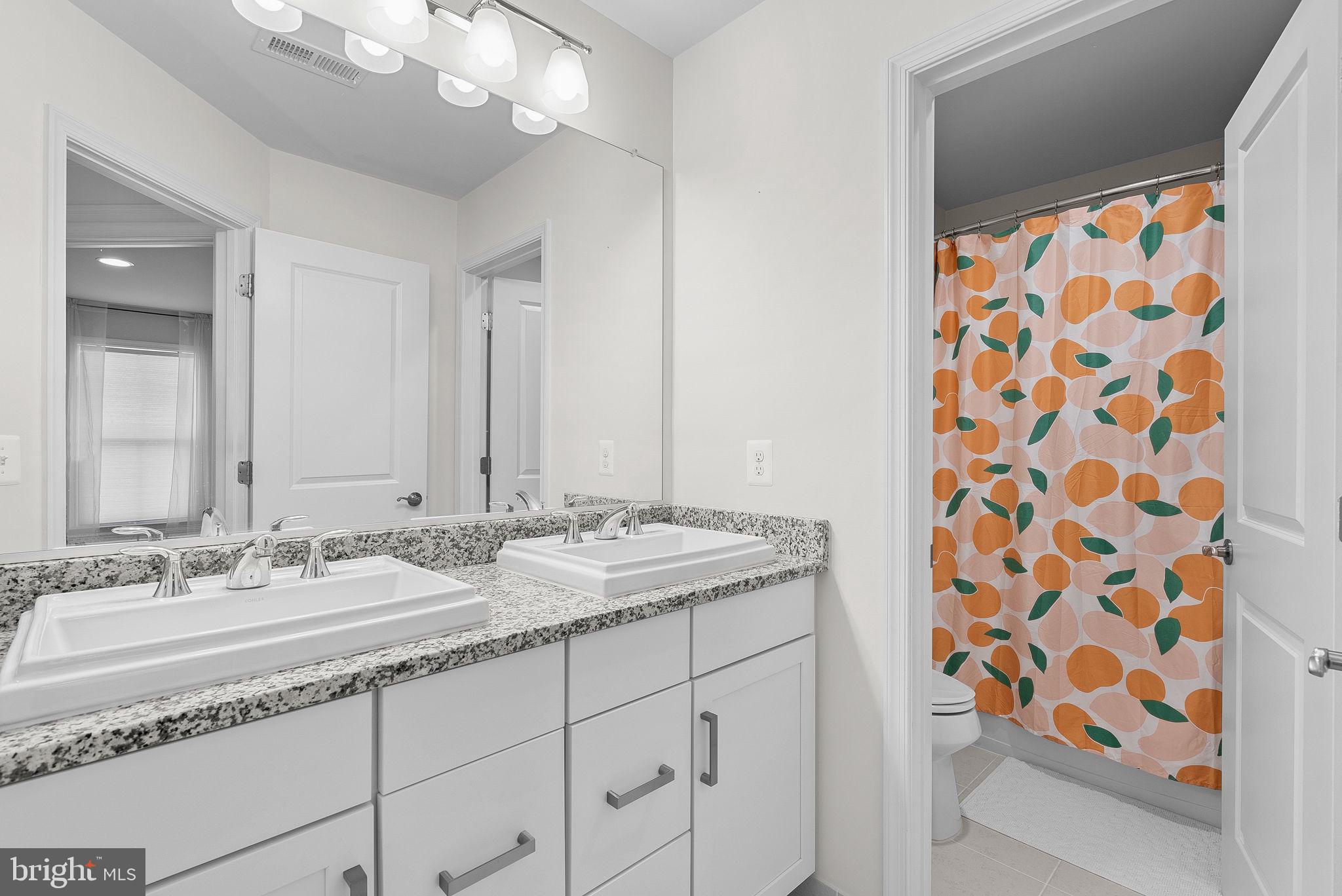 22820 Bubbling Brook Drive Brambleton, VA 20148 - Photo 36 of 60 Hall Bathroom