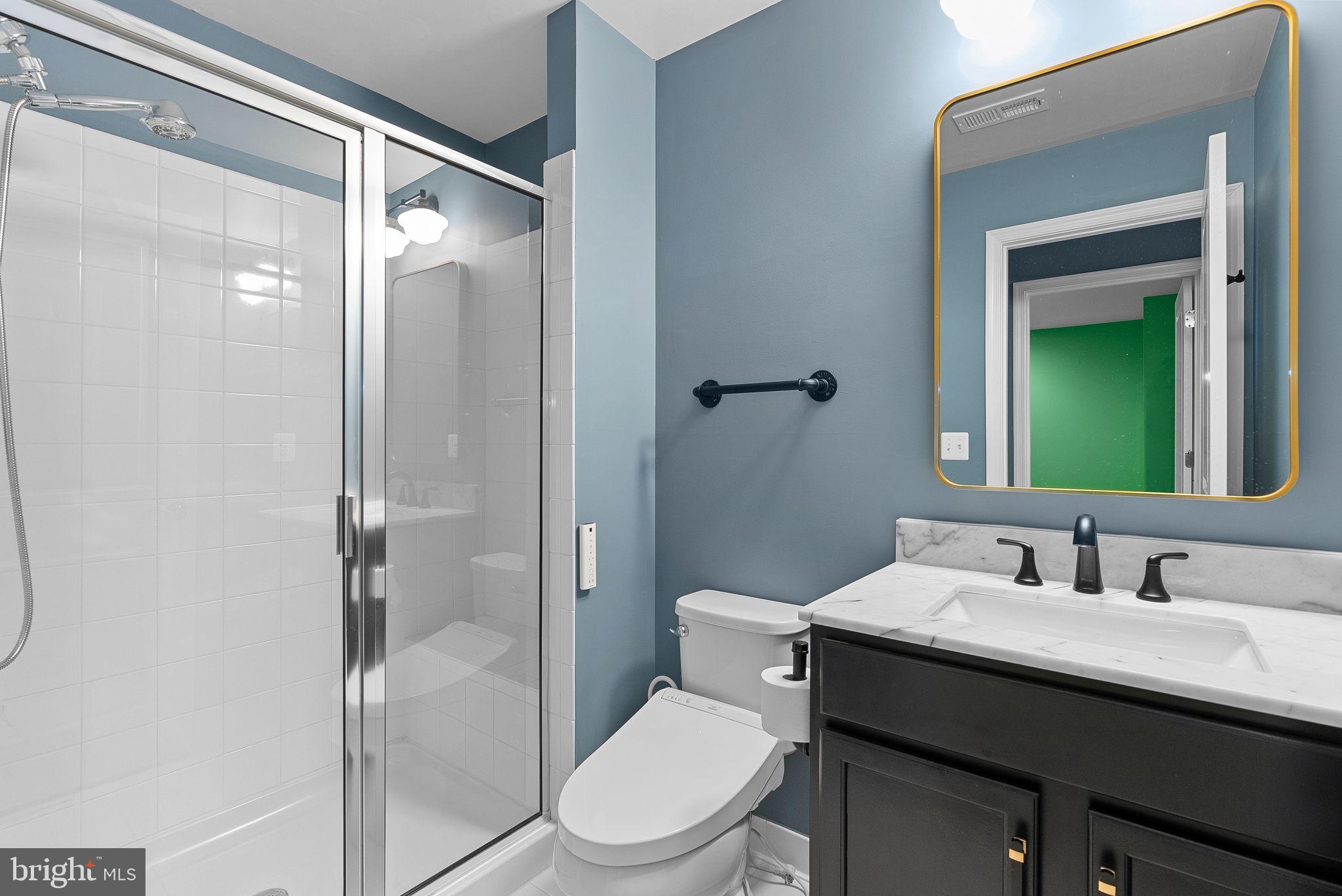 22820 Bubbling Brook Drive Brambleton, VA 20148 - Photo 42 of 60 Basement Bathroom